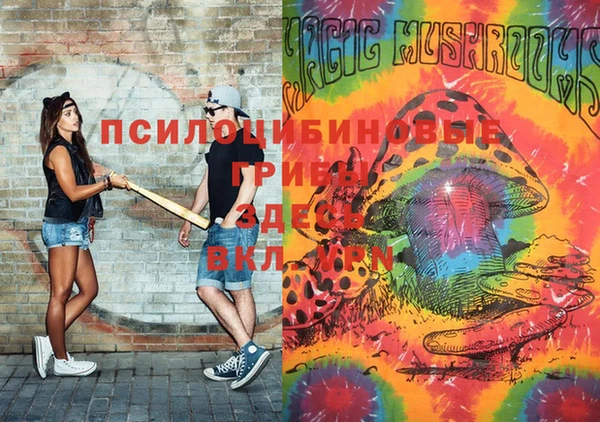 кокс Баксан