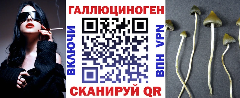 Галлюциногенные грибы мицелий  магазин    Гаврилов-Ям 